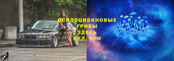 амф Богородск