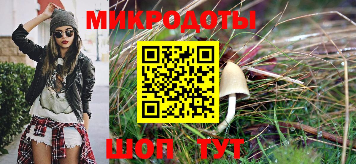 Псилоцибиновые грибы прущие грибы  Вход с VPN  Сланцы  Псилоцибиновые грибы мицелий 