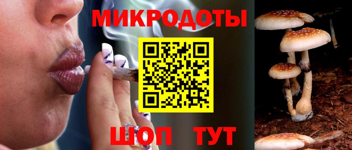 Псилоцибиновые грибы Psilocybe Сланцы
